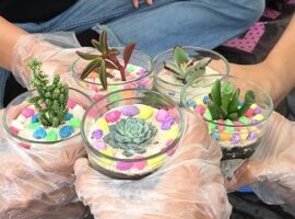 kiat-membuat-tempe-dan-terrarium-yang-bagus-news