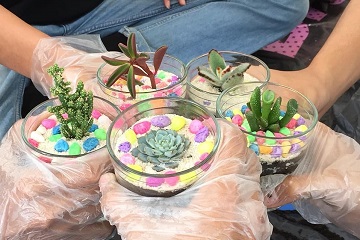 kiat-membuat-tempe-dan-terrarium-yang-bagus-news