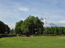 kualitas-udara-di-kampus-ipb-bagus-ini-buktinya-news