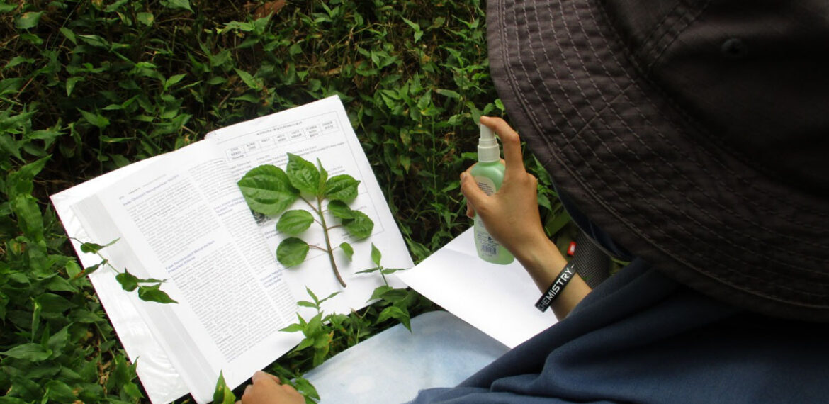 lawalata-ipb-university-berhasil-kumpulkan-99-jenis-tumbuhan-obat-di-kampung-tapos-news