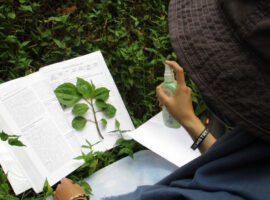 lawalata-ipb-university-berhasil-kumpulkan-99-jenis-tumbuhan-obat-di-kampung-tapos-news