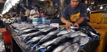mahasiswa-ipb-bantu-nelayan-palabuhanratu-untuk-mendapatkan-permodalan-news