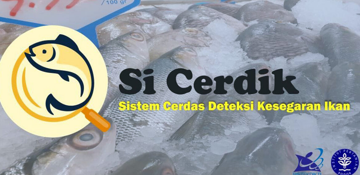 mahasiswa-ipb-buat-aplikasi-si-cerdik-untuk-deteksi-kesegaran-ikan-news