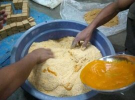 mahasiswa-ipb-buat-formula-pakan-lokal-khusus-ayam-persilangan-news