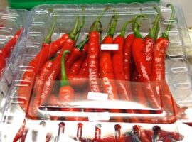 mahasiswa-ipb-buat-pengawet-cabai-dari-kulit-manggis-news