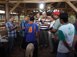 mahasiswa-ipb-karakteristik-sociopreneur-bangun-solidaritas-ekonomi-masyarakat-bogor-news