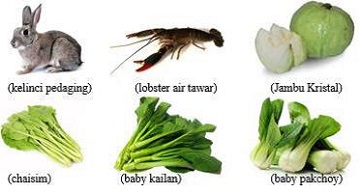 mahasiswa-ipb-kembangkan-konsep-agroislamic-farm-aif-news