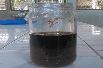 mahasiswa-ipb-manfaatkan-limbah-kayu-jati-atasi-jentik-nyamuk-news