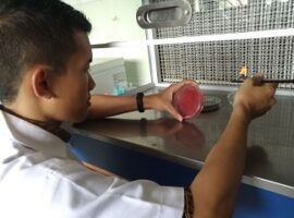 mahasiswa-ipb-manfaatkan-sabut-kelapa-untuk-deteksi-hematuria-news