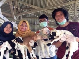 mahasiswa-ipb-meneliti-biodiversitas-cendawan-anthelmintik-di-padang-penggembalaan-news