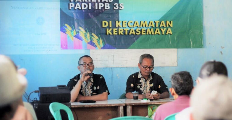 mahasiswa-ipb-university-bagikan-benih-padi-ipb-3s-kepada-petani-indramayu-news