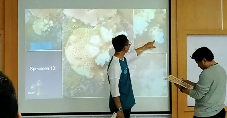 mahasiswa-ipb-university-belajar-identifikasi-terumbu-karang-news