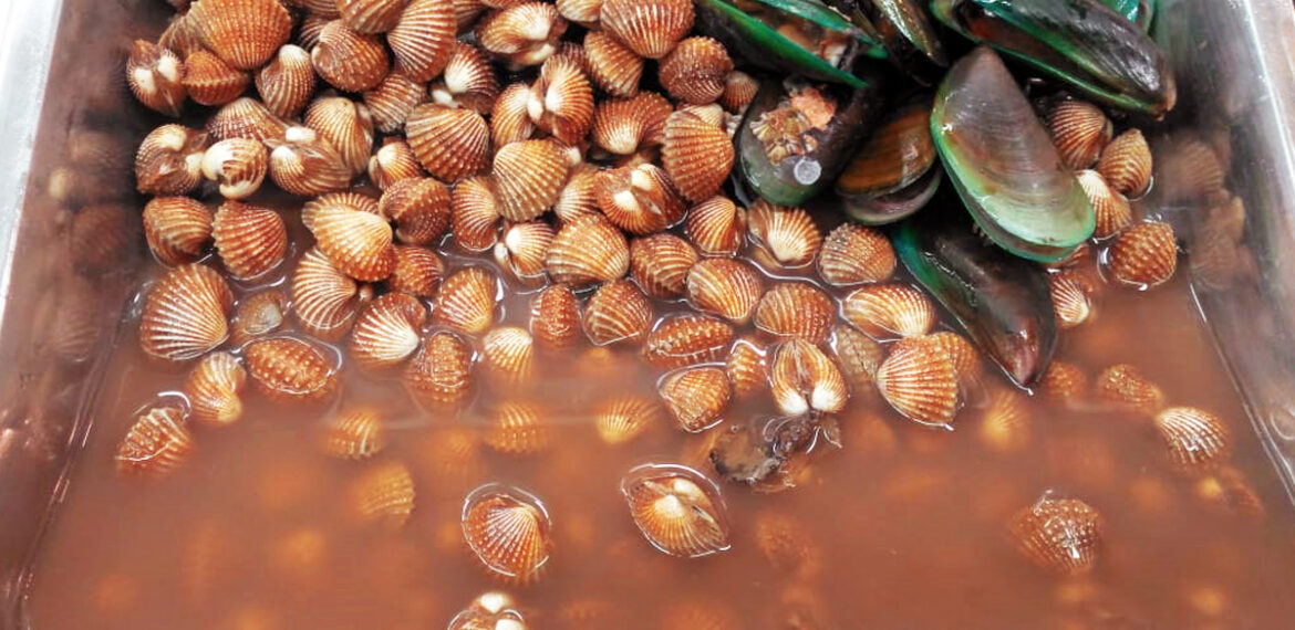 mahasiswa-ipb-university-berhasil-turunkan-mikroplastik-kerang-news