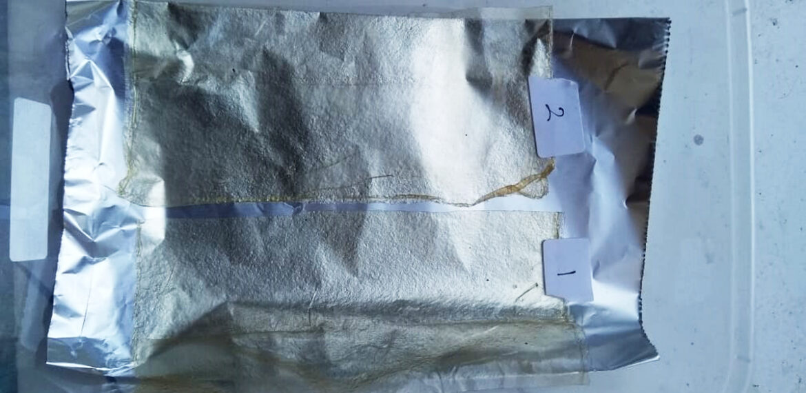 mahasiswa-ipb-university-buat-kantong-plastik-dari-kulit-patin-news