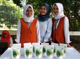 mahasiswa-ipb-university-ciptakan-biskuit-sawi-untuk-anak-autis-news