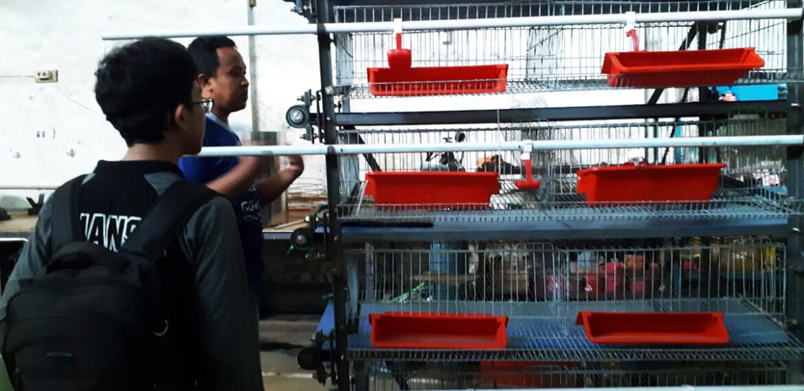 mahasiswa-ipb-university-ciptakan-kandang-puyuh-berbasis-android-news