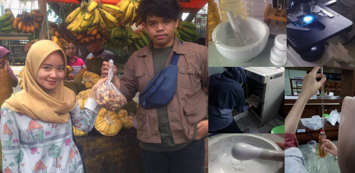 mahasiswa-ipb-university-ciptakan-sunblock-dari-biji-nangka-dan-minyak-kelapa-news