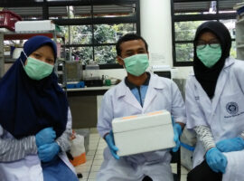 mahasiswa-ipb-university-gunakan-dna-barcode-untuk-mendeteksi-nematoda-puru-akar-pada-bit-news
