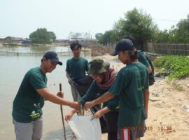 mahasiswa-ipb-university-lakukan-konservasi-mangrove-di-pulau-cangkir-tangerang-news