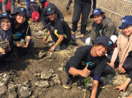 mahasiswa-ipb-university-tanam-7-500-bibit-mangrove-di-desa-patra-manggala-news