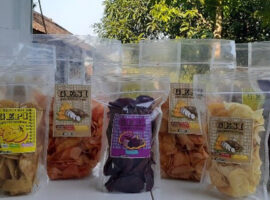 mahasiswa-kkn-t-ipb-university-ciptakan-keripik-gepi-gesi-dan-gebi-di-desa-gerendong-news