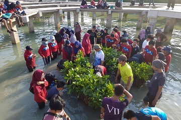 mahasiswa-msp-ipb-tanam-1000-mangrove-di-pulau-pramuka-news