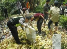 mahasiswa-tgc-fahutan-ipb-in-action-news