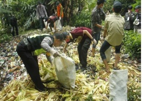 mahasiswa-tgc-fahutan-ipb-in-action-news