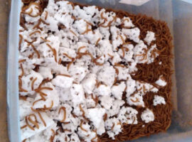 manfaatkan-ulat-hongkong-mahasiswa-ipb-university-teliti-metode-pengurai-styrofoam-news