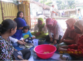 manisan-pepaya-dan-jambu-kristal