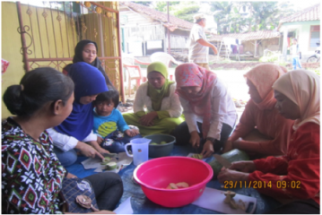 manisan-pepaya-dan-jambu-kristal