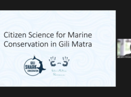 memahami-tren-baru-peran-citizen-science-dalam-konservasi-laut-di-gili-matra-news
