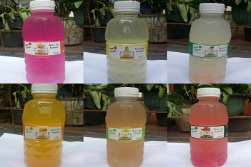 mendulang-rupiah-dari-inovasi-minuman-ciplukan-news