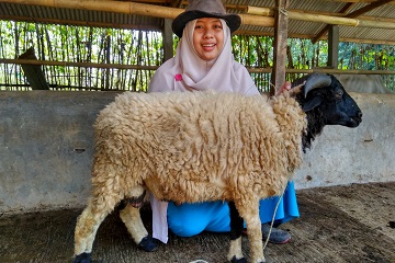 orlin-farm-usaha-peternakan-rakyat-yang-dikembangkan-mahasiswa-ipb-news