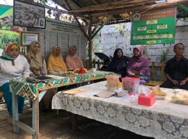p2sdm-lppm-ipb-kembangkan-edukasi-herbal-tanaman-obat-news