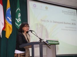 pakar-ipb-kendalikan-serangan-wereng-coklat-dengan-pola-tanam-serempak-news