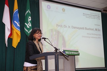 pakar-ipb-kendalikan-serangan-wereng-coklat-dengan-pola-tanam-serempak-news