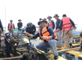 panen-udang-vaname-laut-upaya-pkspl-ipb-university-bangun-ekonomi-melalui-sea-farming-news