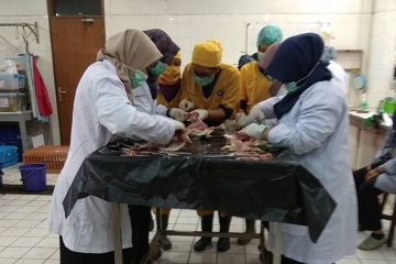 para-calon-dokter-hewan-ipb-ikuti-pelatihan-vaksin-dan-nekropsi-pada-ayam-news
