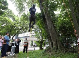 para-ilmuwan-dunia-peringati-hari-pohon-di-ipb-news