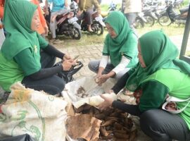 peneliti-ipb-beri-pelatihan-bagi-para-petani-ubi-kayu-news
