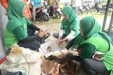 peneliti-ipb-beri-pelatihan-bagi-para-petani-ubi-kayu-news