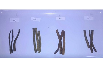 peneliti-ipb-buat-snack-untuk-wanita-sindrom-pramenstruasi-news