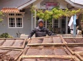 peneliti-ipb-cari-cara-agar-kelangsungan-hidup-belut-dekati-100-persen-news