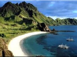 peneliti-ipb-kaji-keadaan-oseanografi-fisik-biogeokimia-bioakustik-laut-jawa-selat-makassar-laut-flores-news