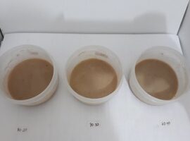 peneliti-ipb-kombinasi-kedelai-dan-beras-merah-untuk-turunkan-berat-badan-news