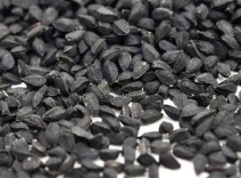 peneliti-ipb-optimalkan-produksi-jintan-hitam-indonesia-news