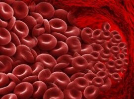 peneliti-ipb-pengaruh-suplementasi-besi-mingguan-dan-harian-terhadap-hemoglobin-remaja-putri-news