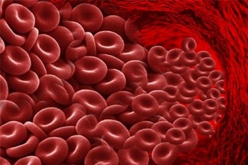 peneliti-ipb-pengaruh-suplementasi-besi-mingguan-dan-harian-terhadap-hemoglobin-remaja-putri-news