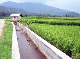 peneliti-ipb-prediksi-risiko-kekeringan-di-kabupaten-indramayu-news